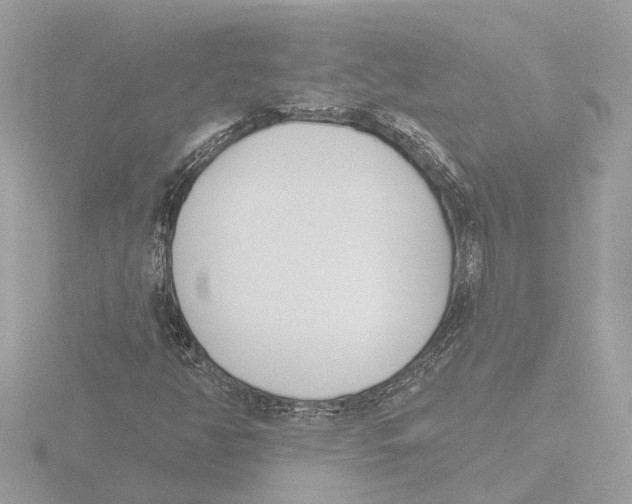 X0000116151350200912211501