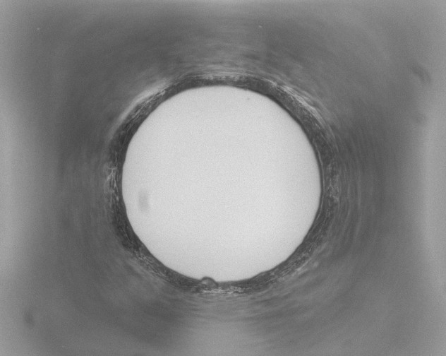 X0000116151351200912211501