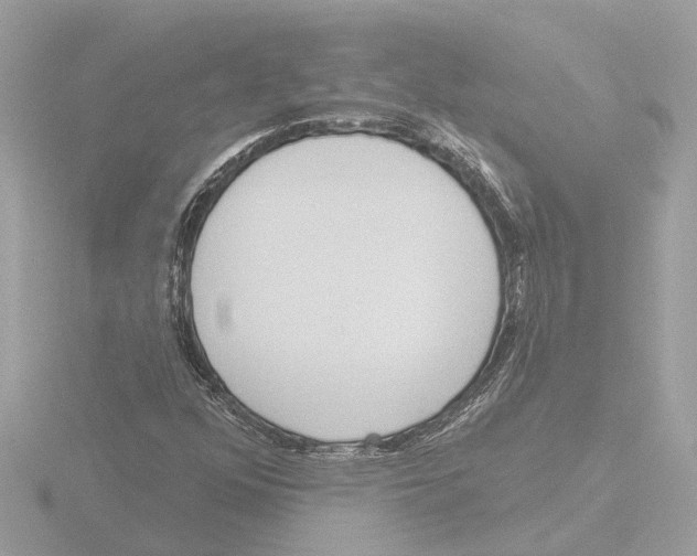 X0000116151352200912211501