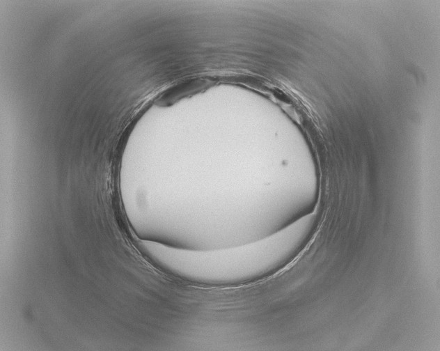 X0000116151353200912211501