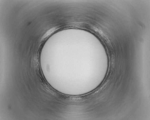 X0000116151354200912211501