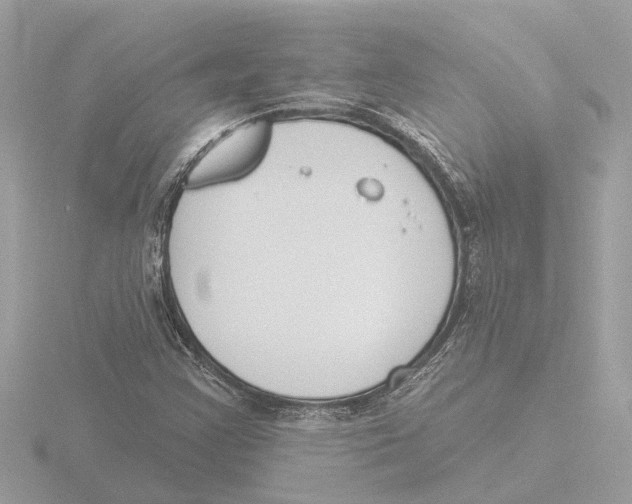 X0000116151355200912211501