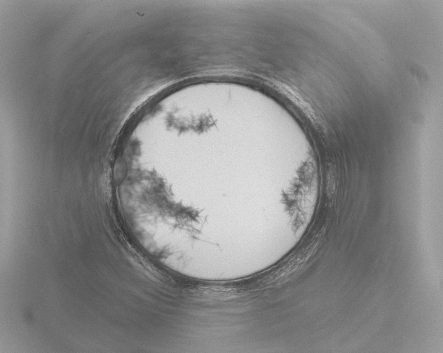 X0000116151356200912211501