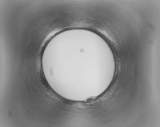 X0000116151358200912211500