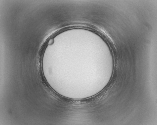 X0000116151360200912211500