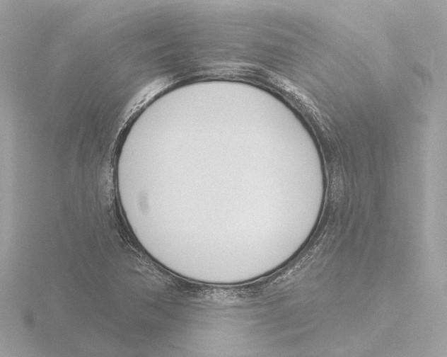 X0000116151362200912211500