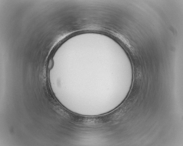 X0000116151364200912211500