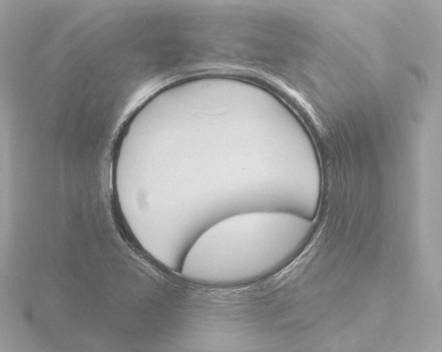 X0000116151365200912211500