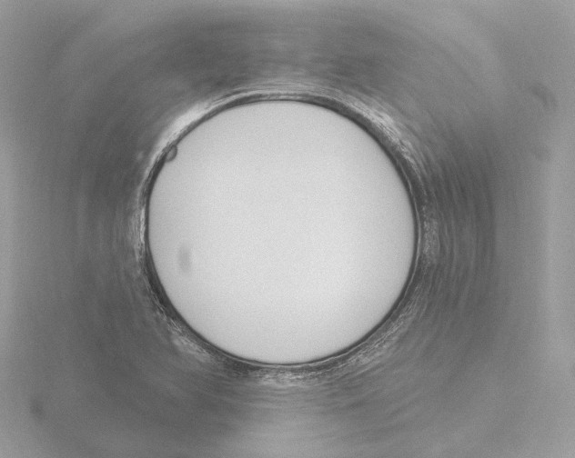 X0000116151366200912211500