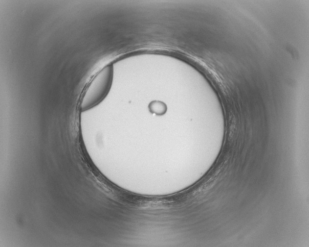 X0000116151367200912211500