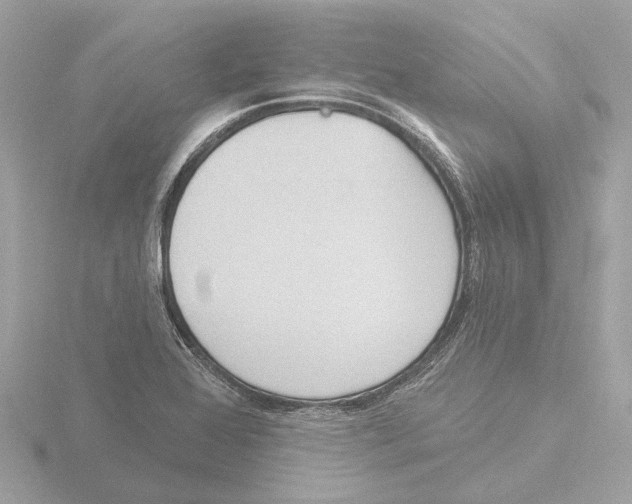 X0000116151368200912211500