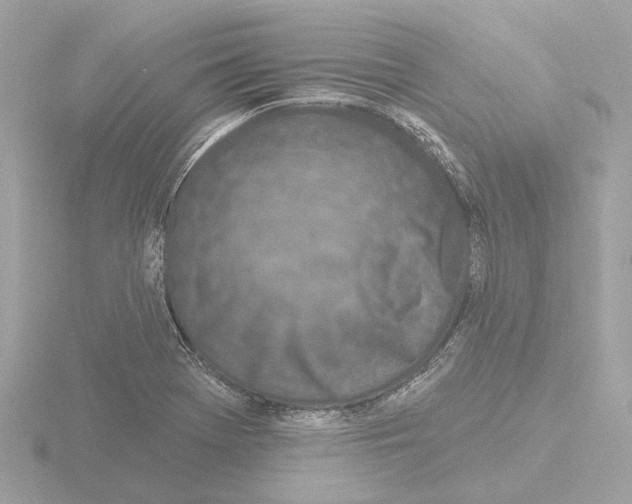 X0000116151369200912211500