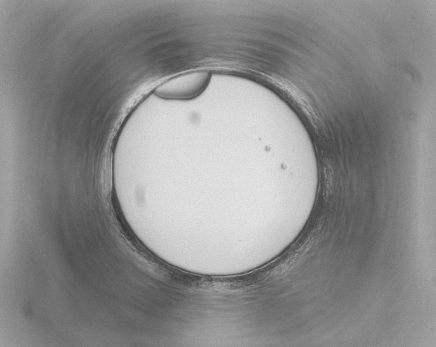 X0000116151371200912211500