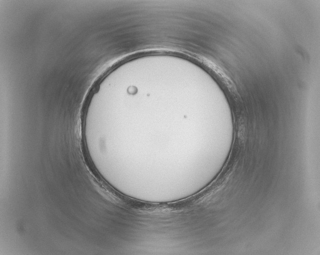 X0000116151372200912211500