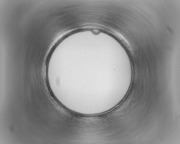 X0000116151376200912211500