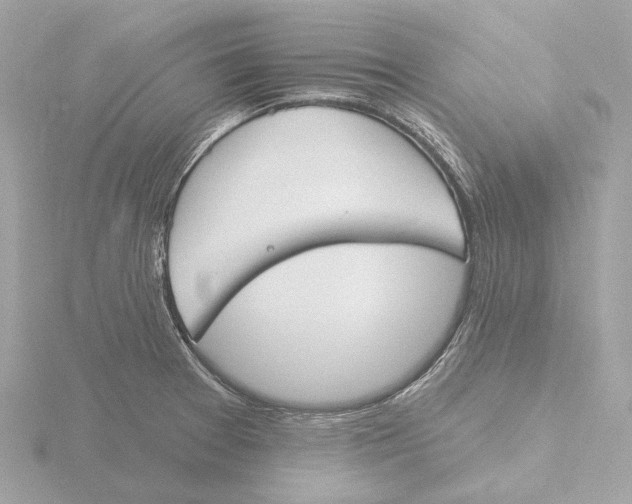 X0000116151377200912211500