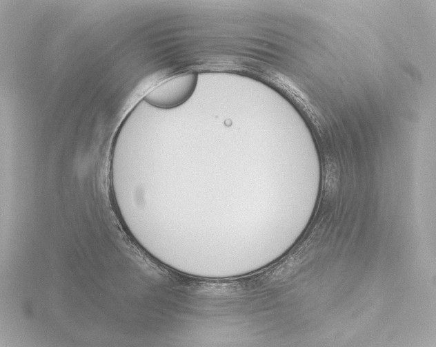 X0000116151378200912211500