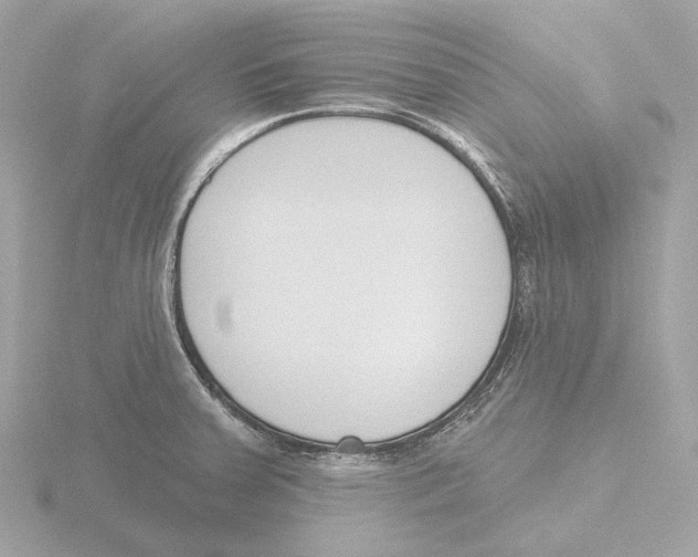 X0000116151379200912211500