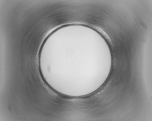 X0000116151380200912211500