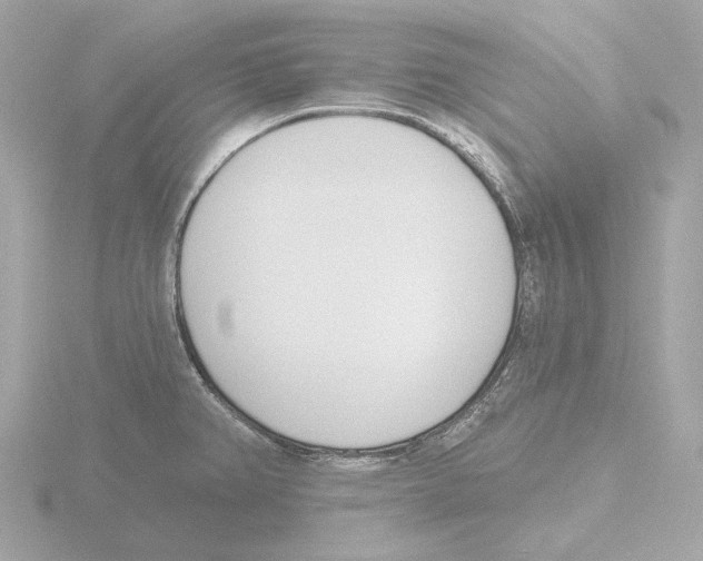 X0000116151382200912211500