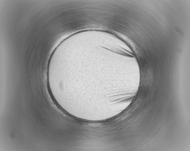 X0000116151383200912211500