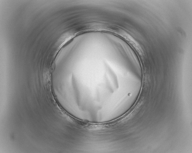 X0000116151385200912211500