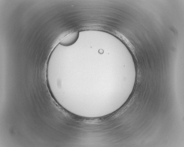 X0000116151386200912211500