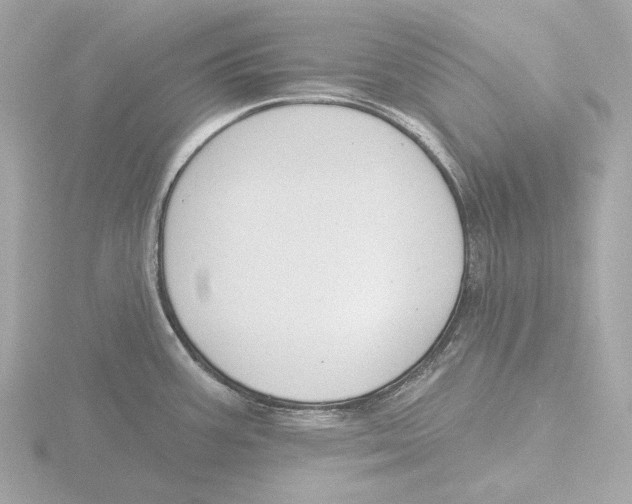 X0000116151387200912211500