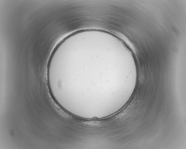 X0000116151388200912211500