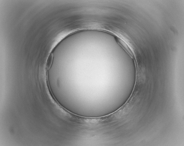 X0000116151389200912211500