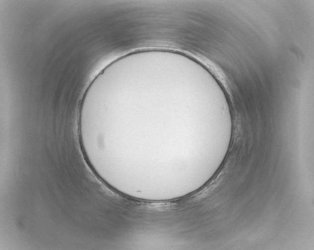 X0000116151390200912211500