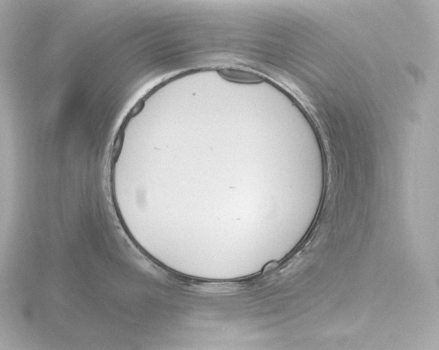 X0000116151392200912211500