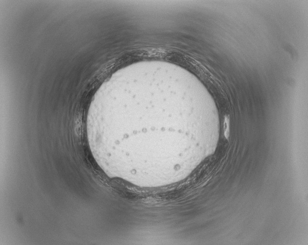 X0000116151395200912211459