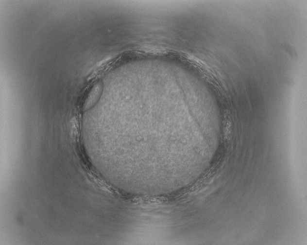 X0000116151397200912211500