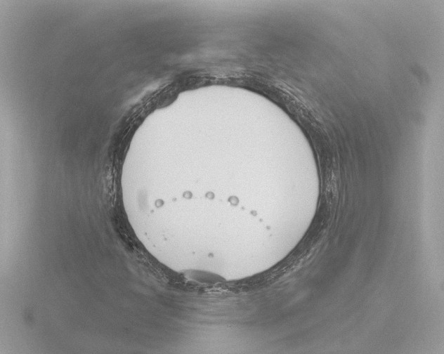 X0000116151398200912211500