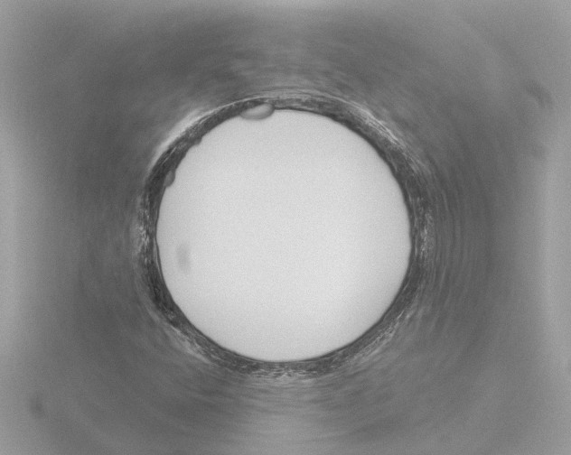 X0000116151400200912211500