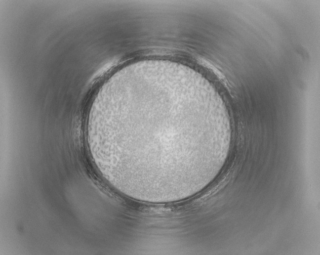 X0000116151403200912211500