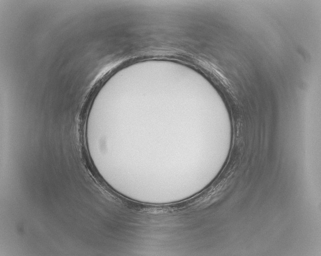 X0000116151404200912211500