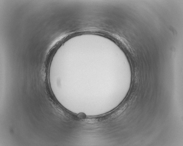 X0000116151406200912211500