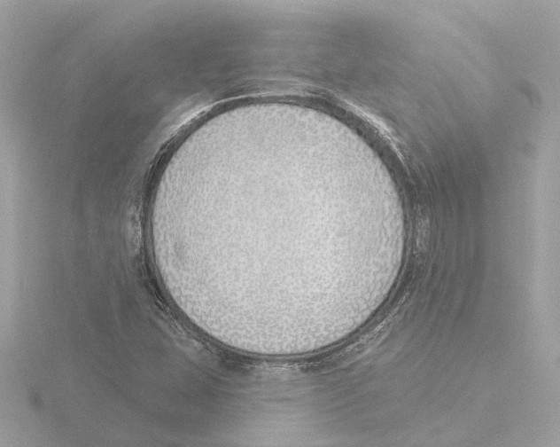 X0000116151407200912211500