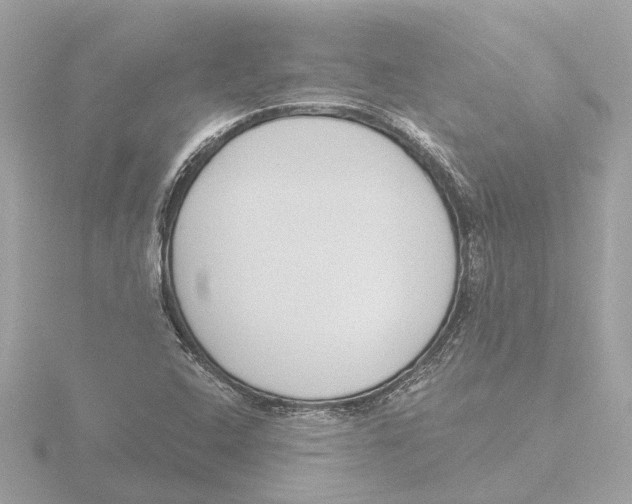 X0000116151408200912211500