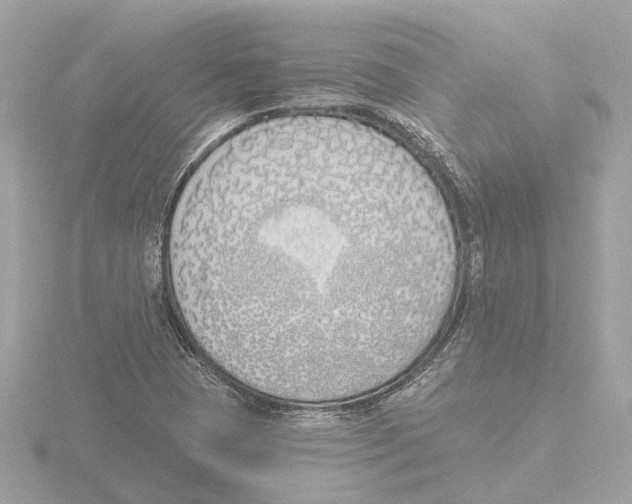 X0000116151409200912211500