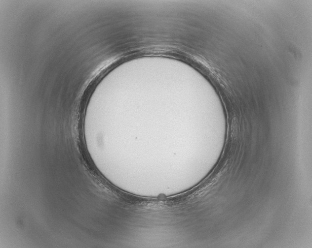 X0000116151410200912211500