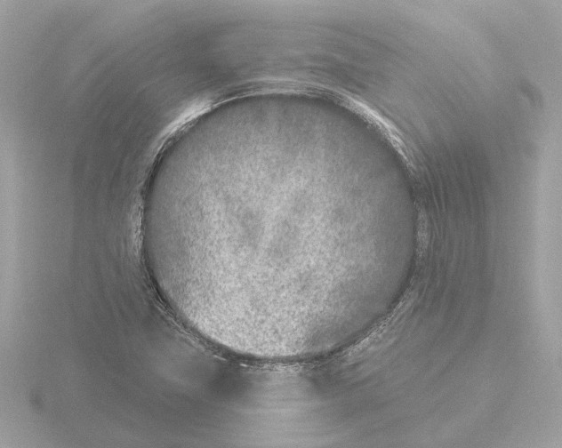 X0000116151411200912211500