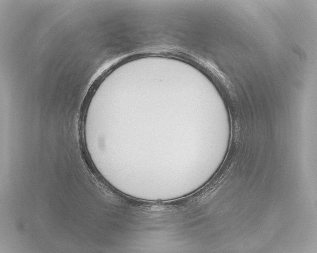 X0000116151412200912211500