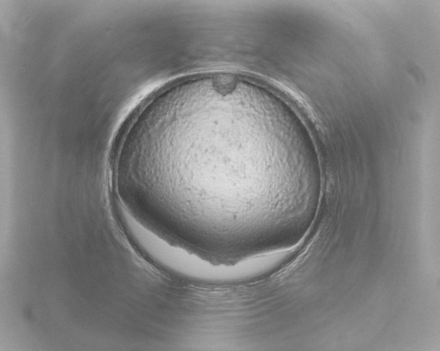 X0000116151414200912211500