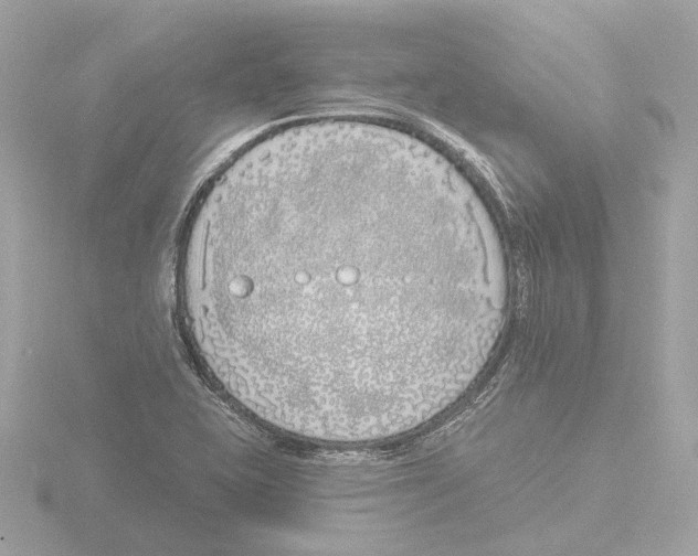 X0000116151415200912211500