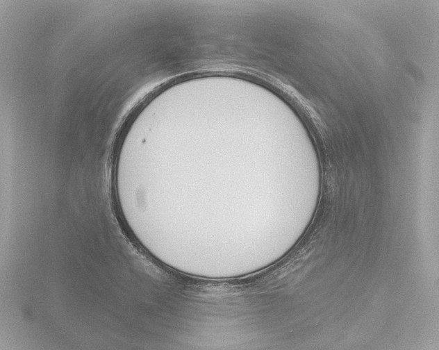 X0000116151416200912211500