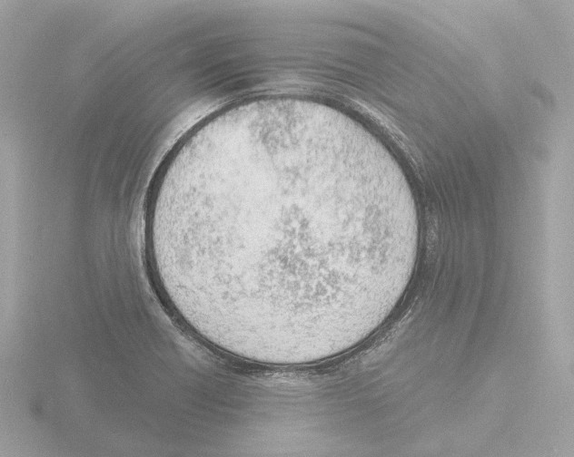 X0000116151418200912211500