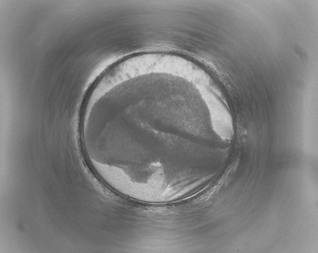 X0000116151422200912211500